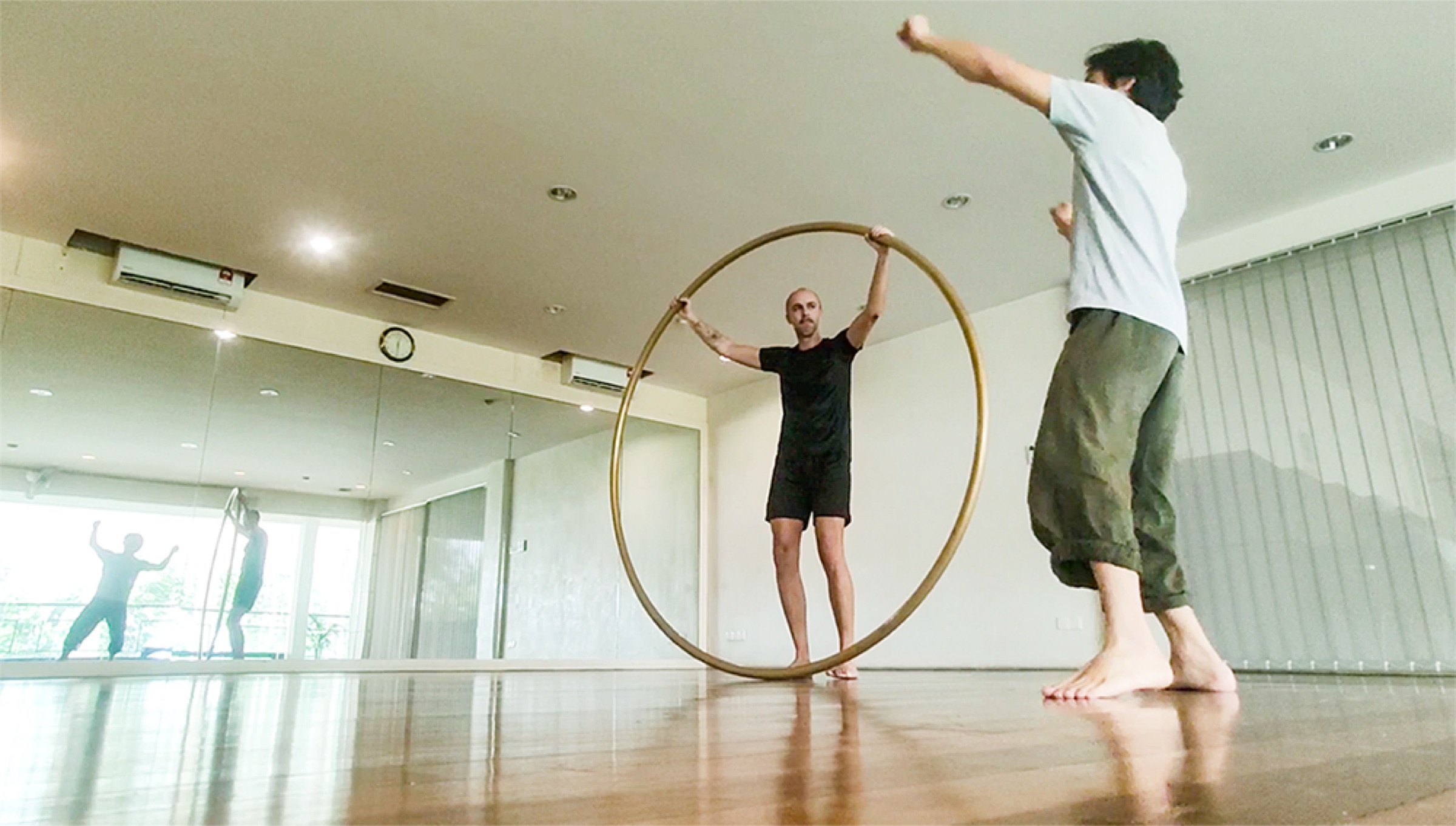 Cyr Wheel coaching
